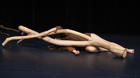 Person liegt hinter einem Baum