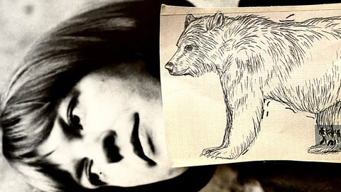 Collage aus einem Bild der Lyrikerin Ingeborg Bachmann und die Zeichnung eines Bären
