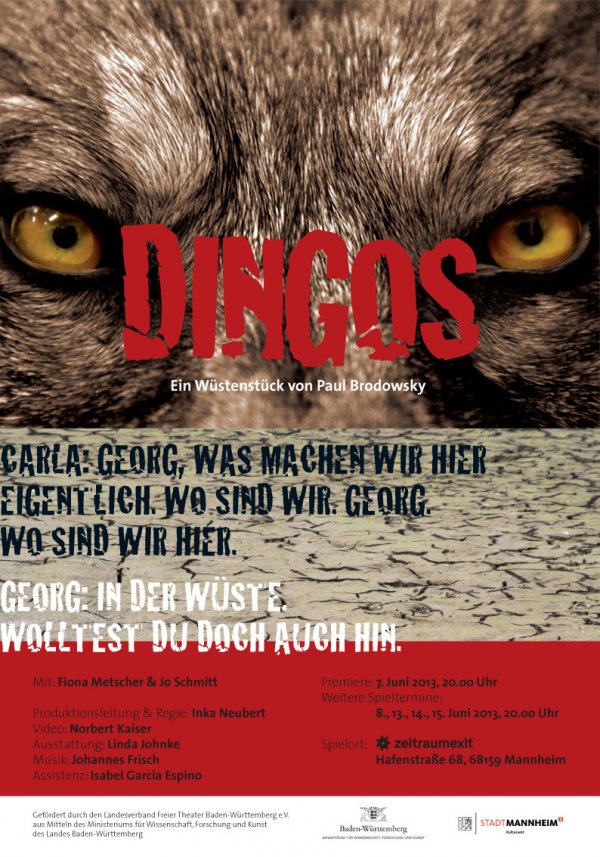 Postkarte Dingos