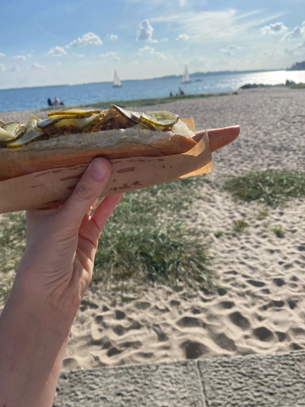 Hand hält einen Hotdog ins Bild. Im Hintergrund ist ein Strand mit Meer. Die Sonne scheint. 